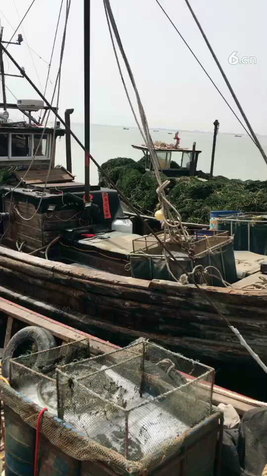 越船仪式，正式开始