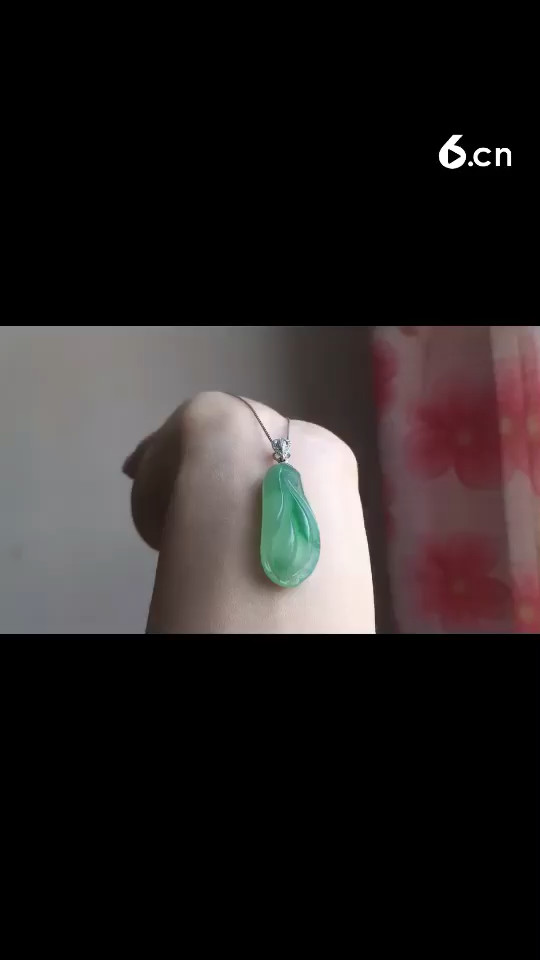 美美的玉兰花