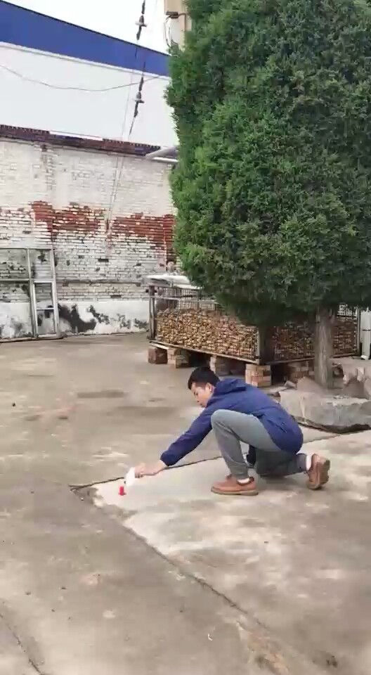 飞人