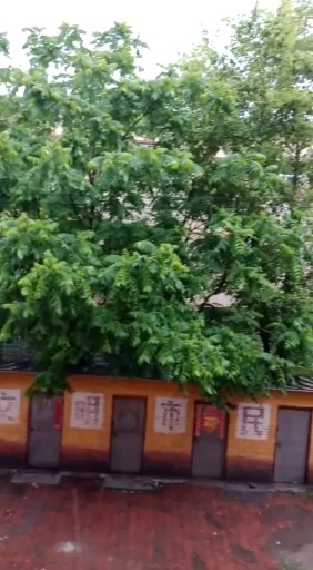 这雨下的，哗哗哗的