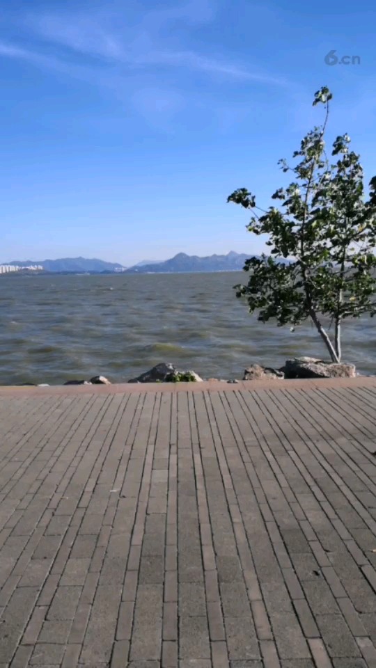 海風真好