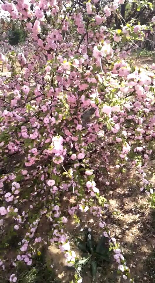 还是这个季节好啊，不热