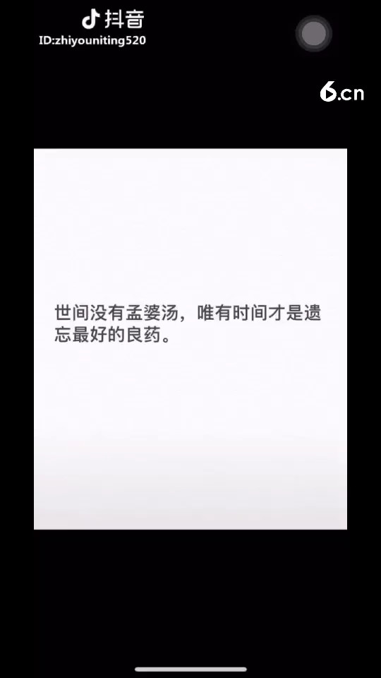 愿你爱过不后悔