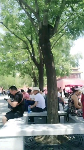 逛故宫中，hot🔥🔥🔥