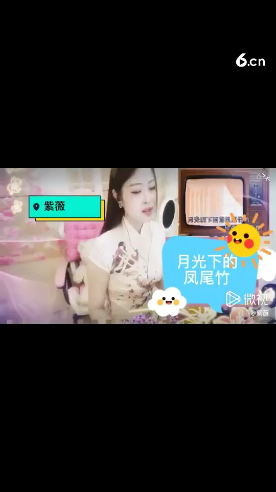 月光下的凤尾竹