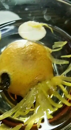 柠檬菊花茶，清新夏日