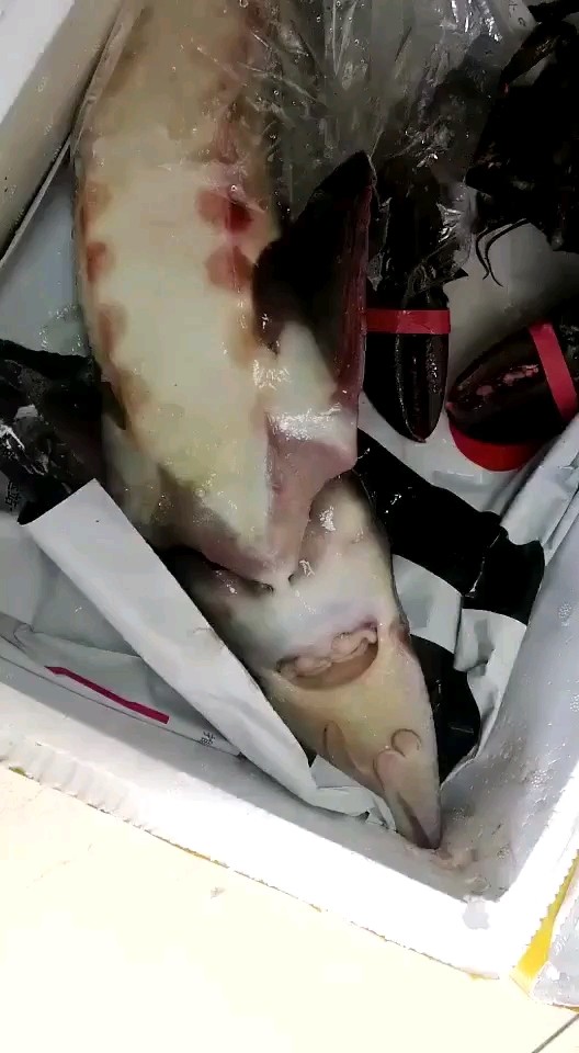 想吃的加微，个性签名有微的