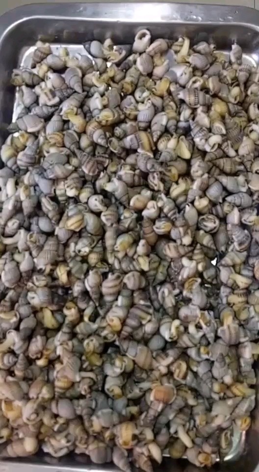 各种海鲜做法