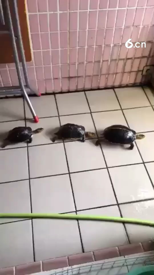 保持队形