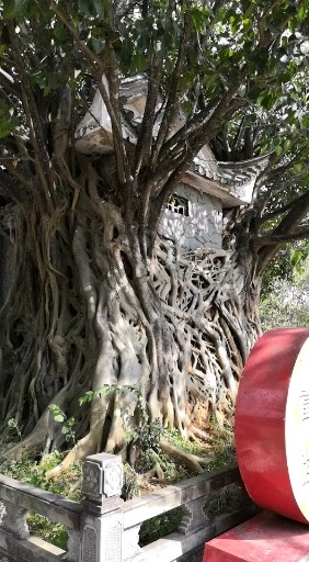 树抱寺，祝大家平平安安健健康康