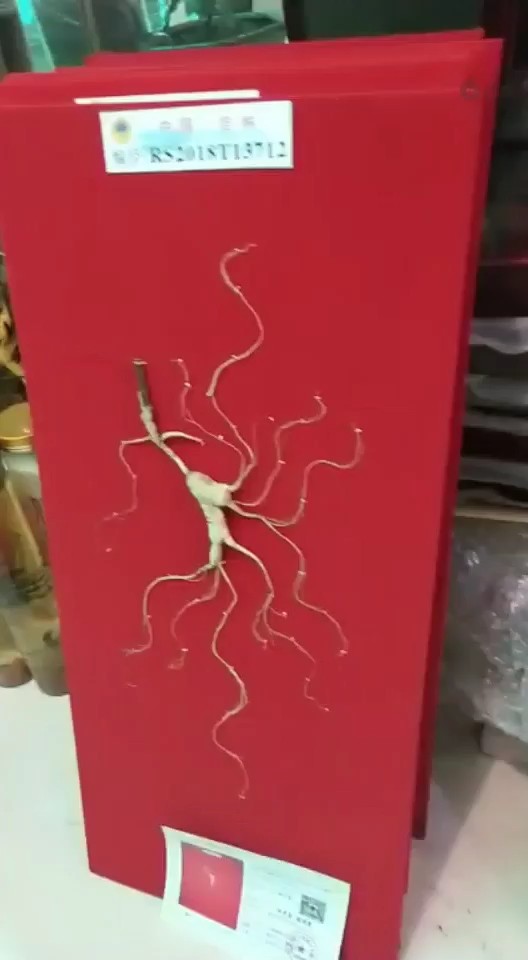 产地批发有需要的加微信