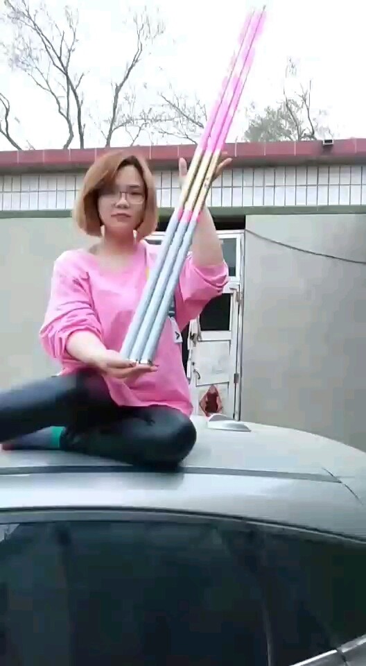 猛禽大物竿