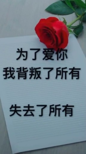 为了爱你我失去了所有！