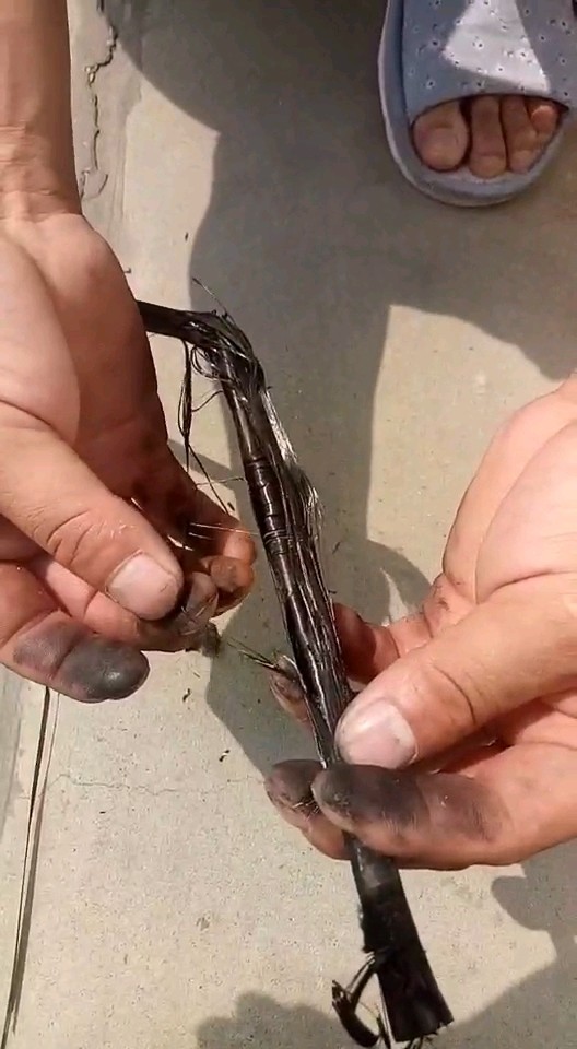 高碳与低碳的区分想懂的进