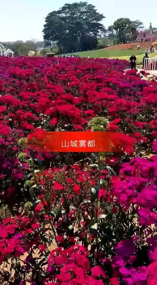 充電五分鐘通話兩小時