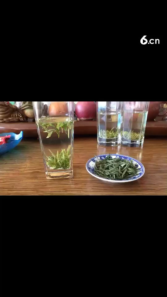 新茶毛峰