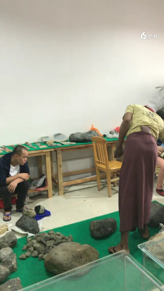 天天都有新料子