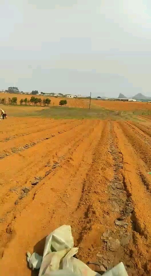 开工了