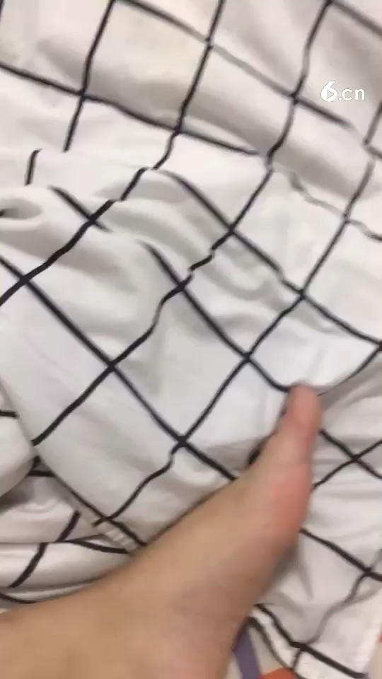 这狗 哎！！！
