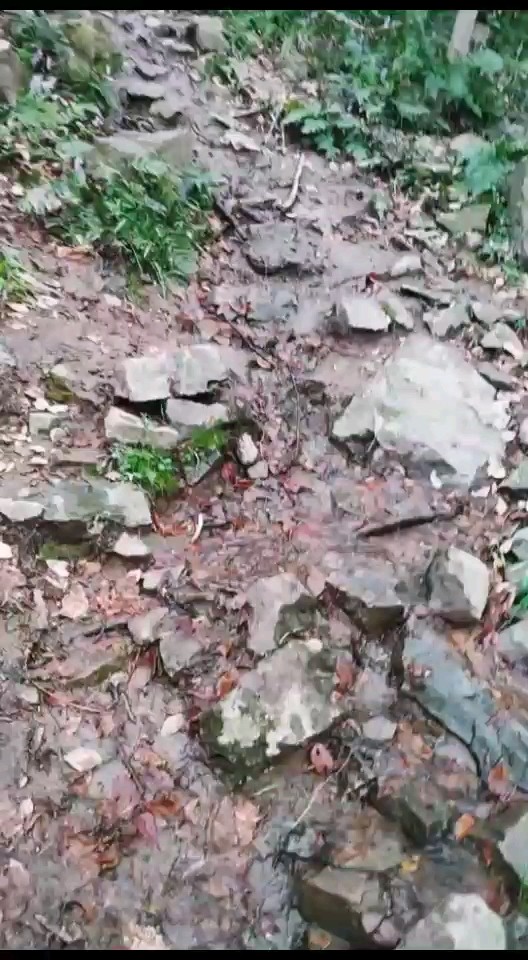 下山的路