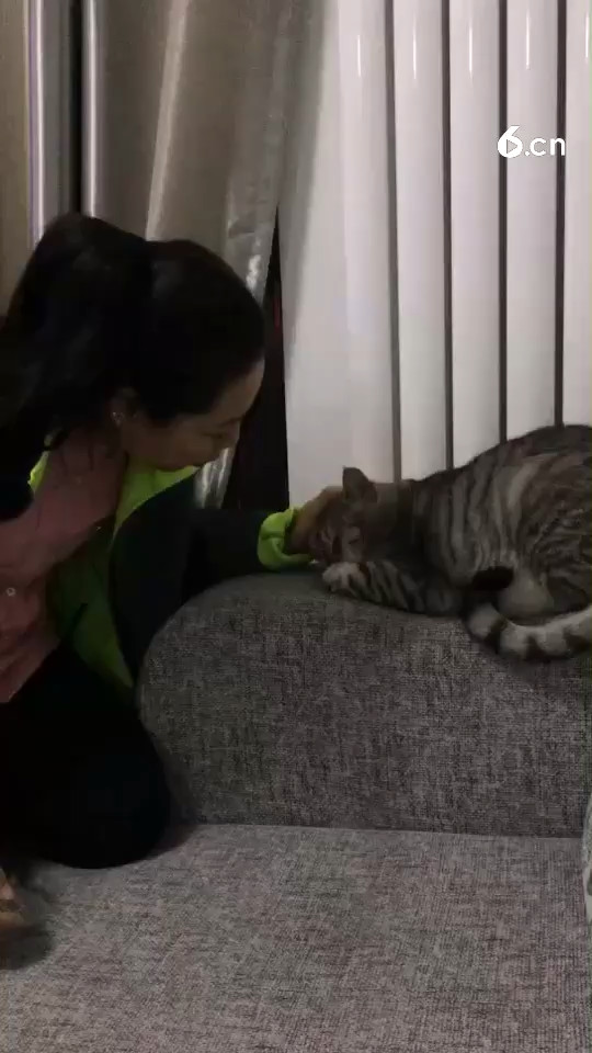 嘎嘎