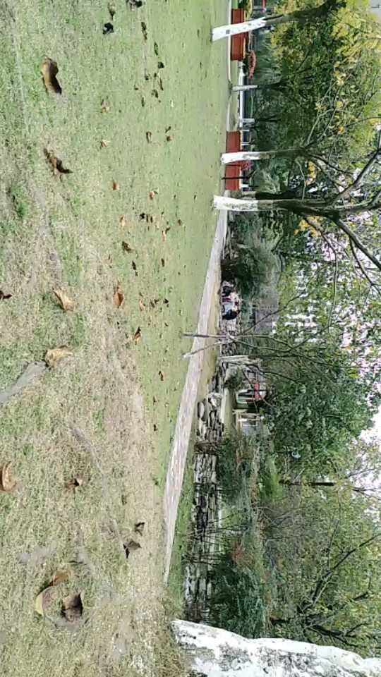 沫若广场