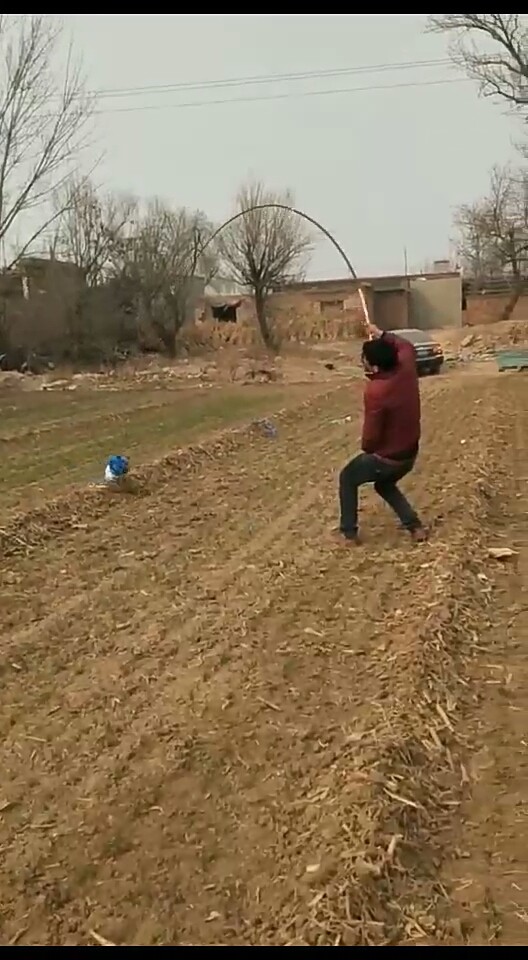 完美专供大物