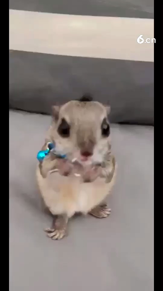 ☺️