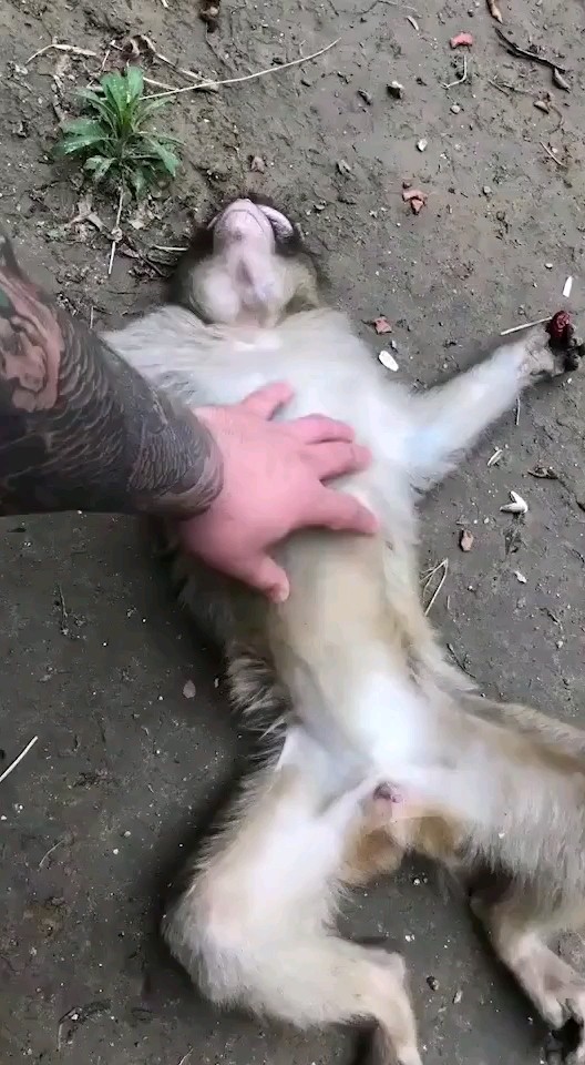 逗猴🐵