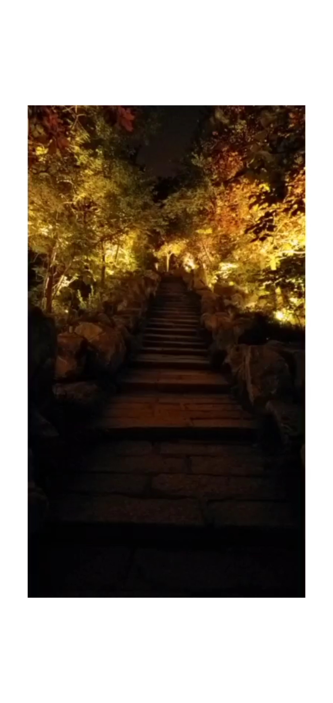 美丽珠城蚌埠景区张公山公园
