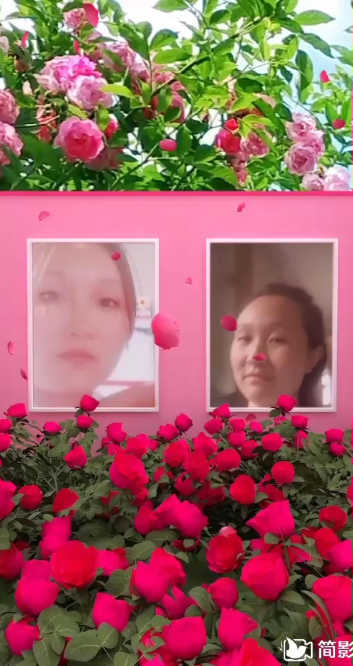 好美的花朵