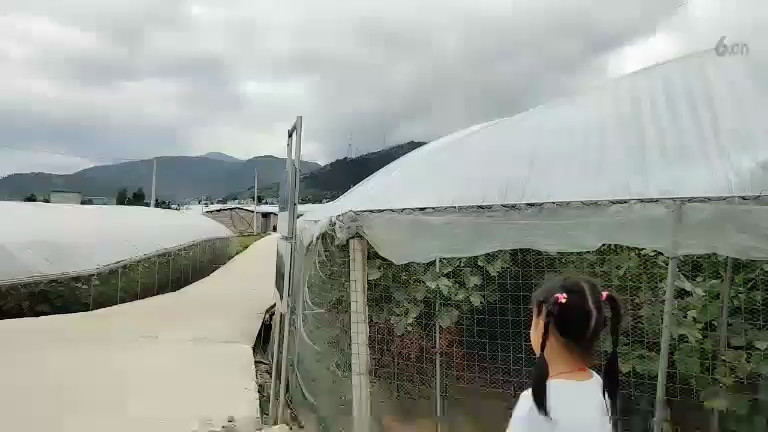 中国式的农场主