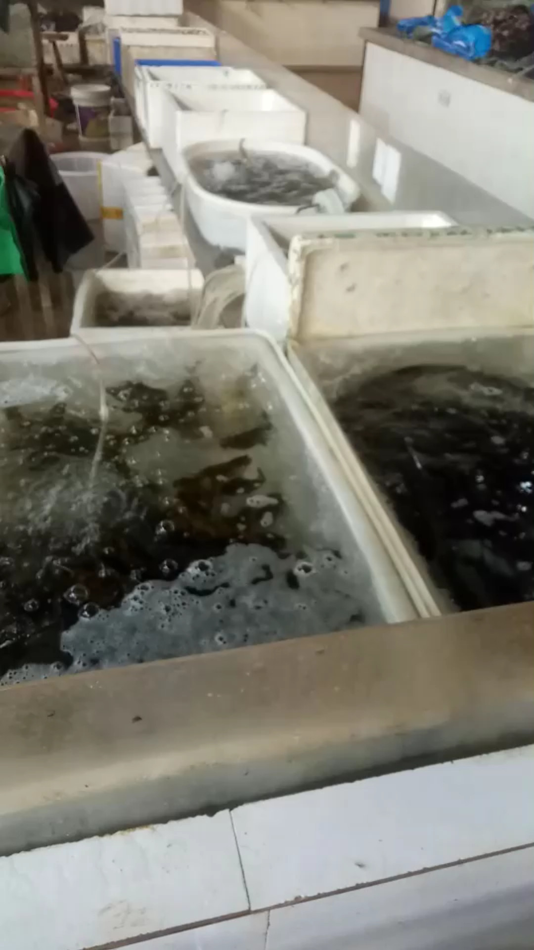 早晨的菜市场是一幅好看的画……