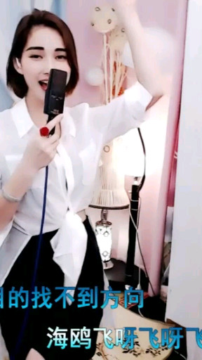 海欧飞