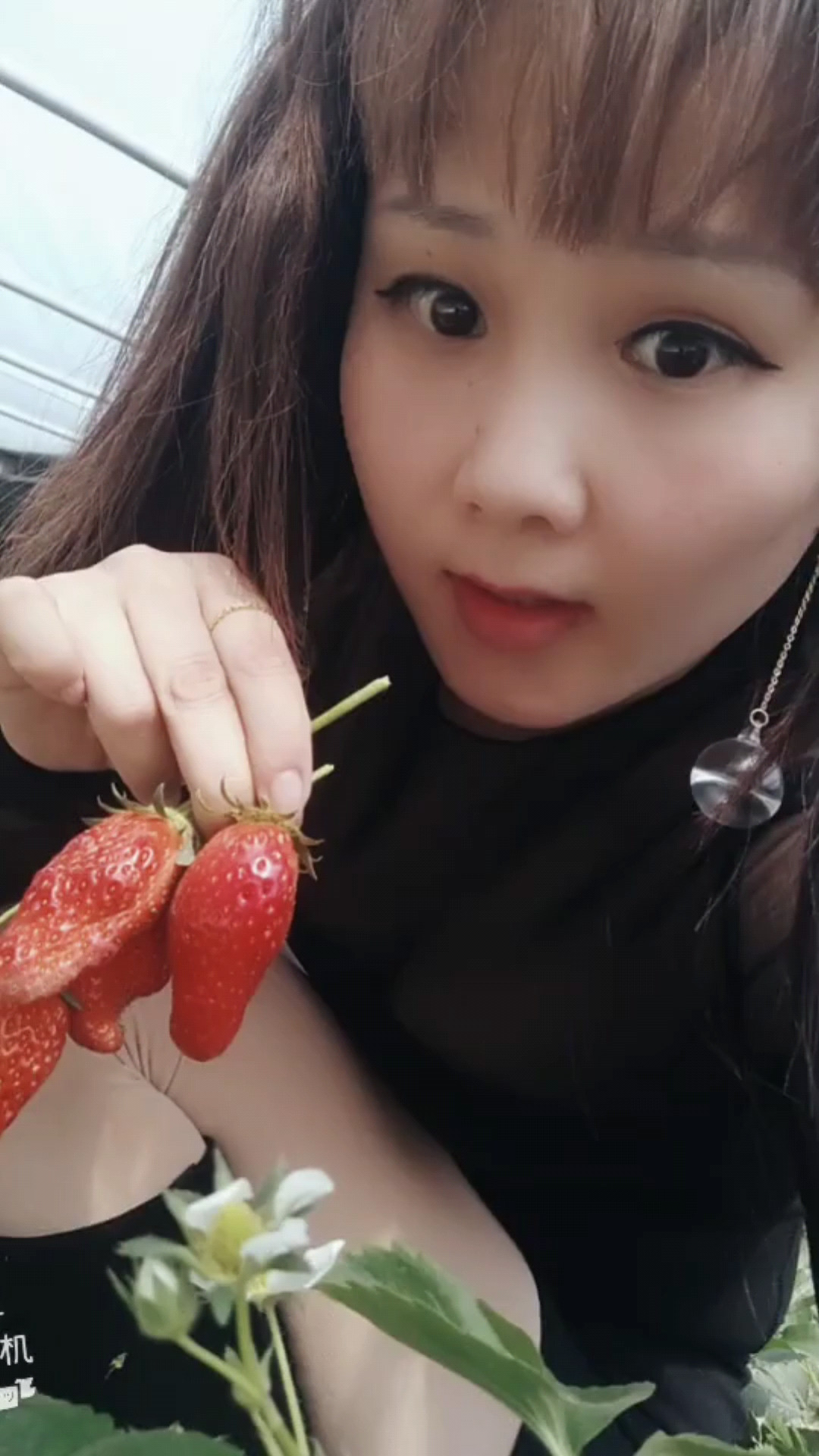 你是每天等我开播的那个人吗