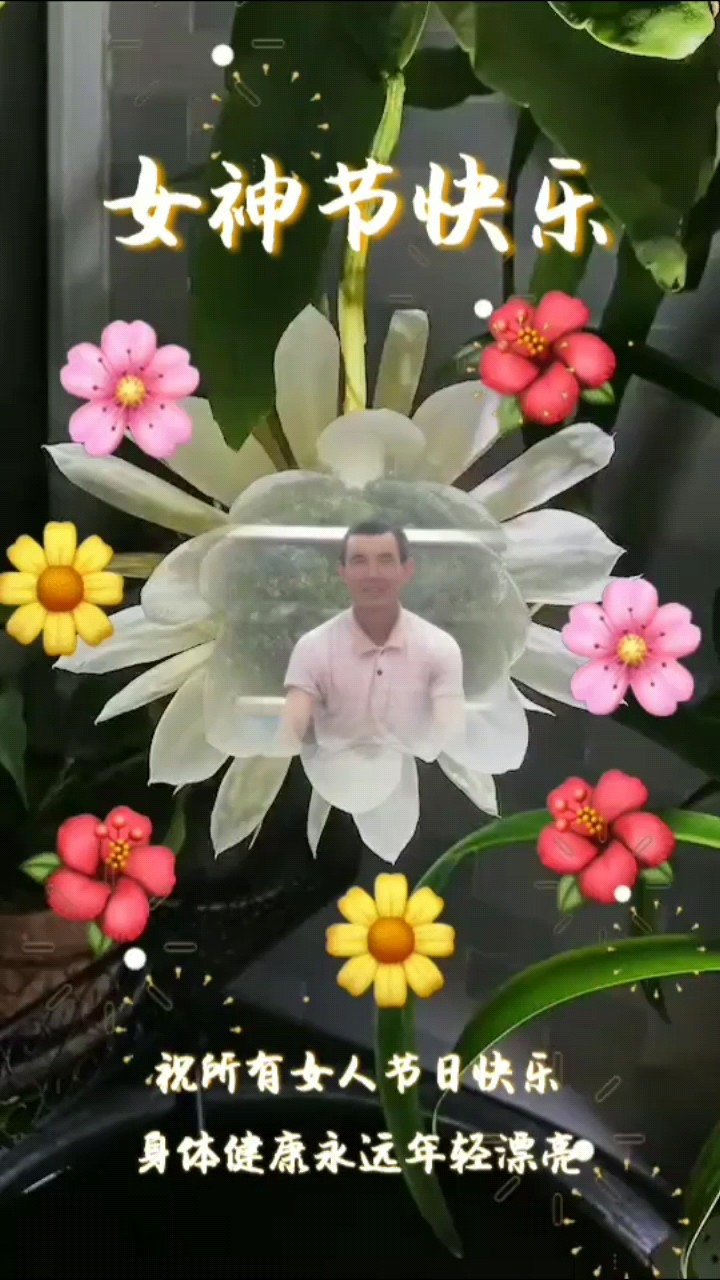 女神节快乐
