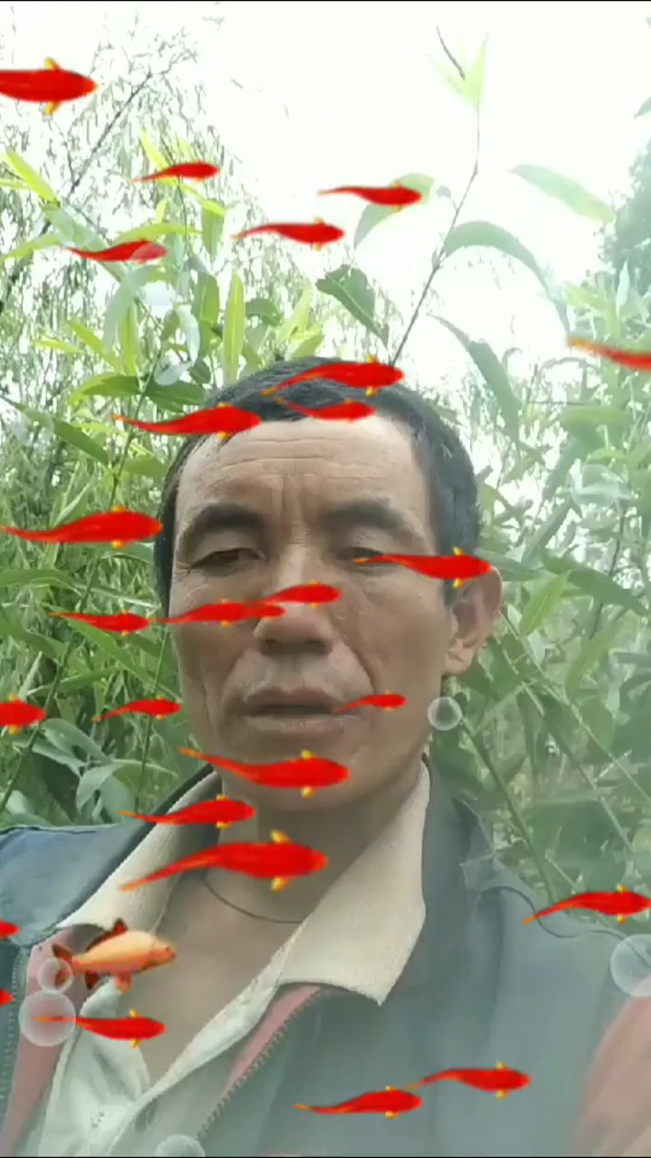 多少钱男
