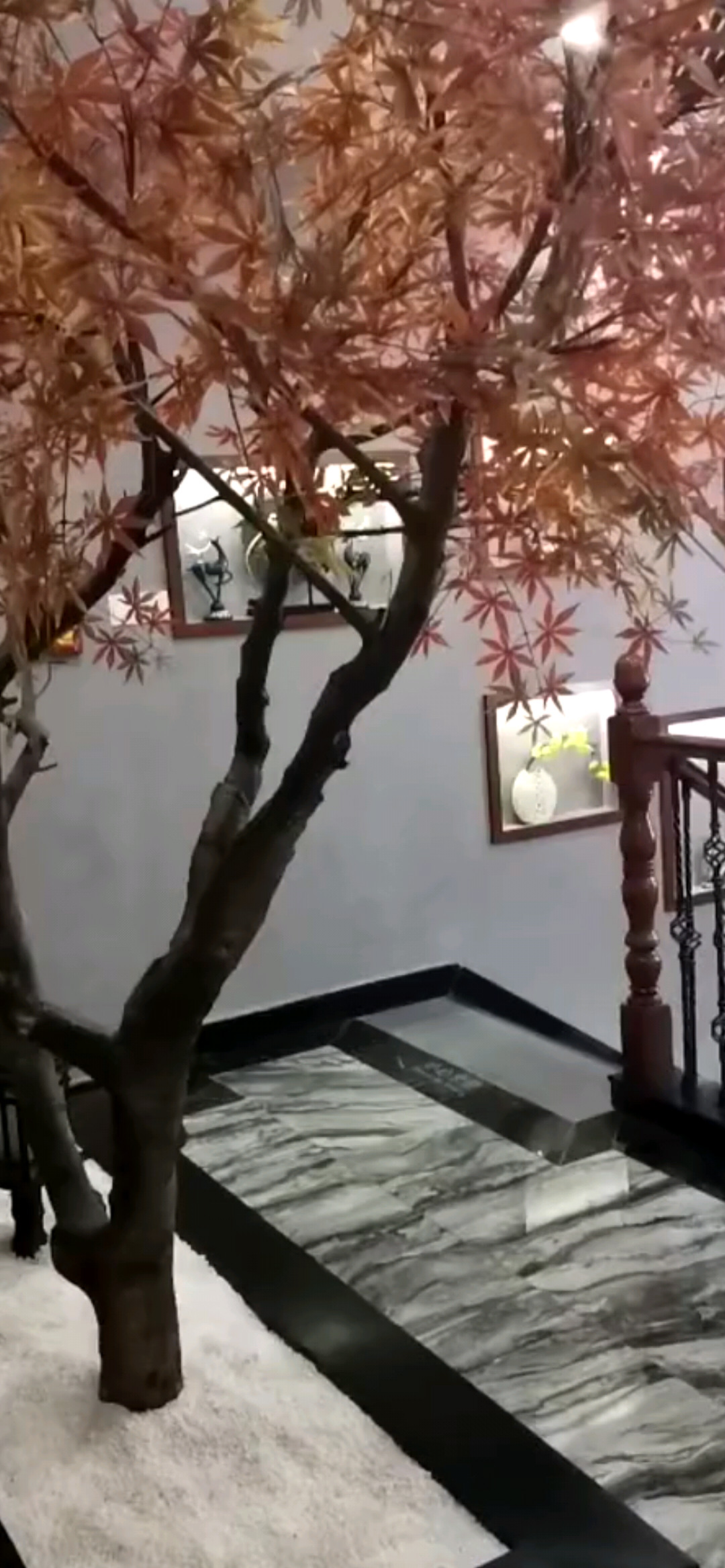 《品茶 看书》意境优美 开心