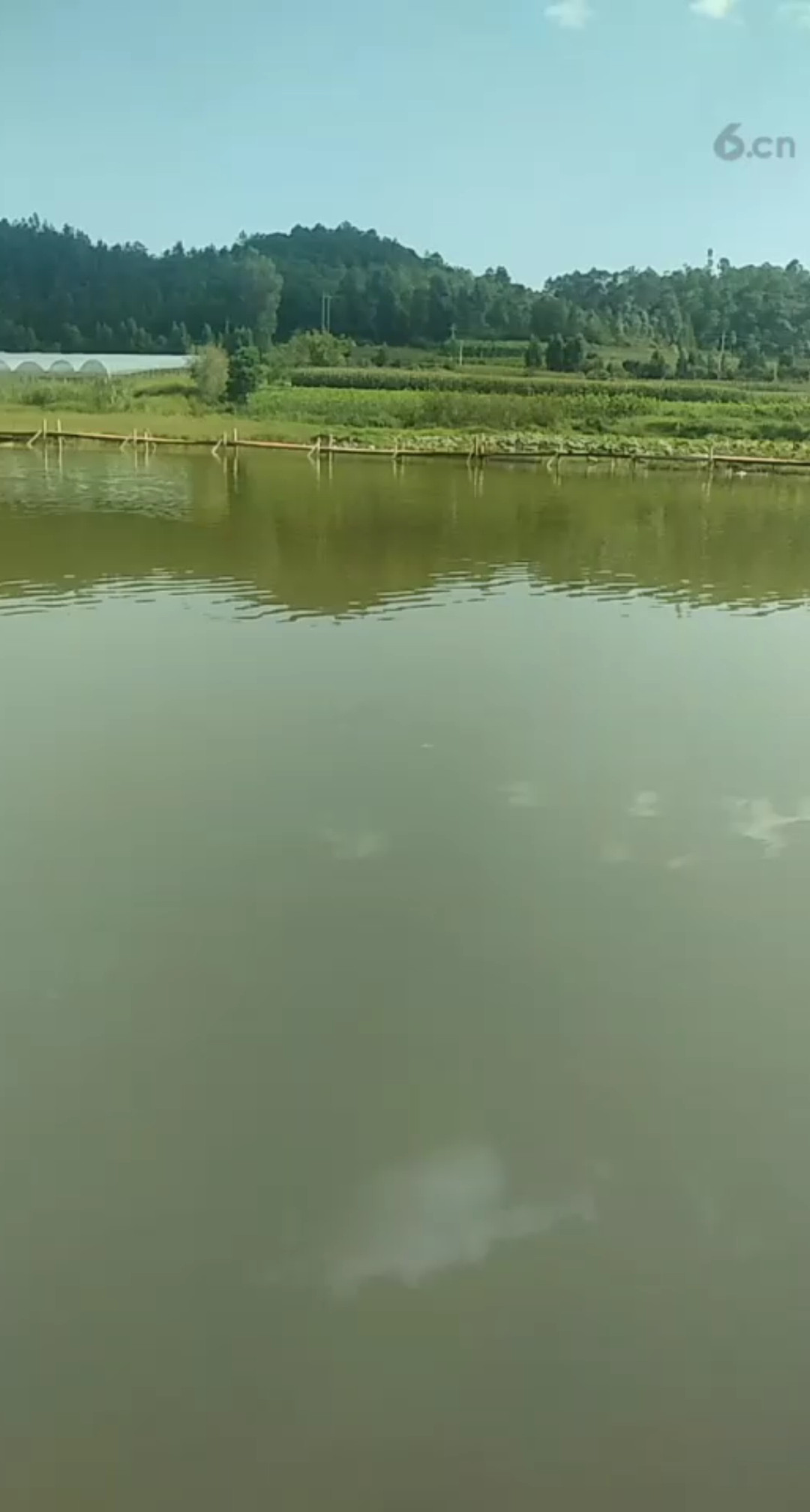 溶洞探完了开始钓鱼😉😉
