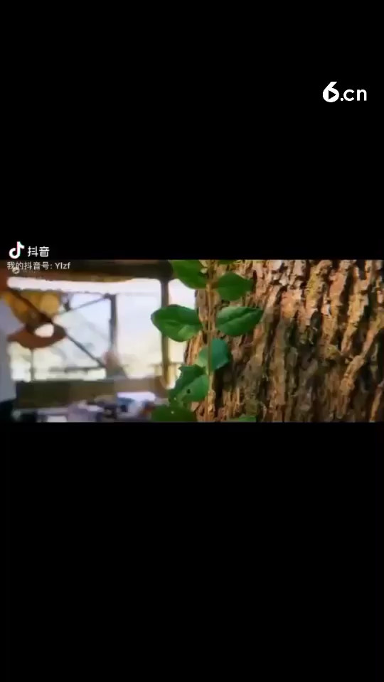 一曲牧羊曲 带你回忆童年