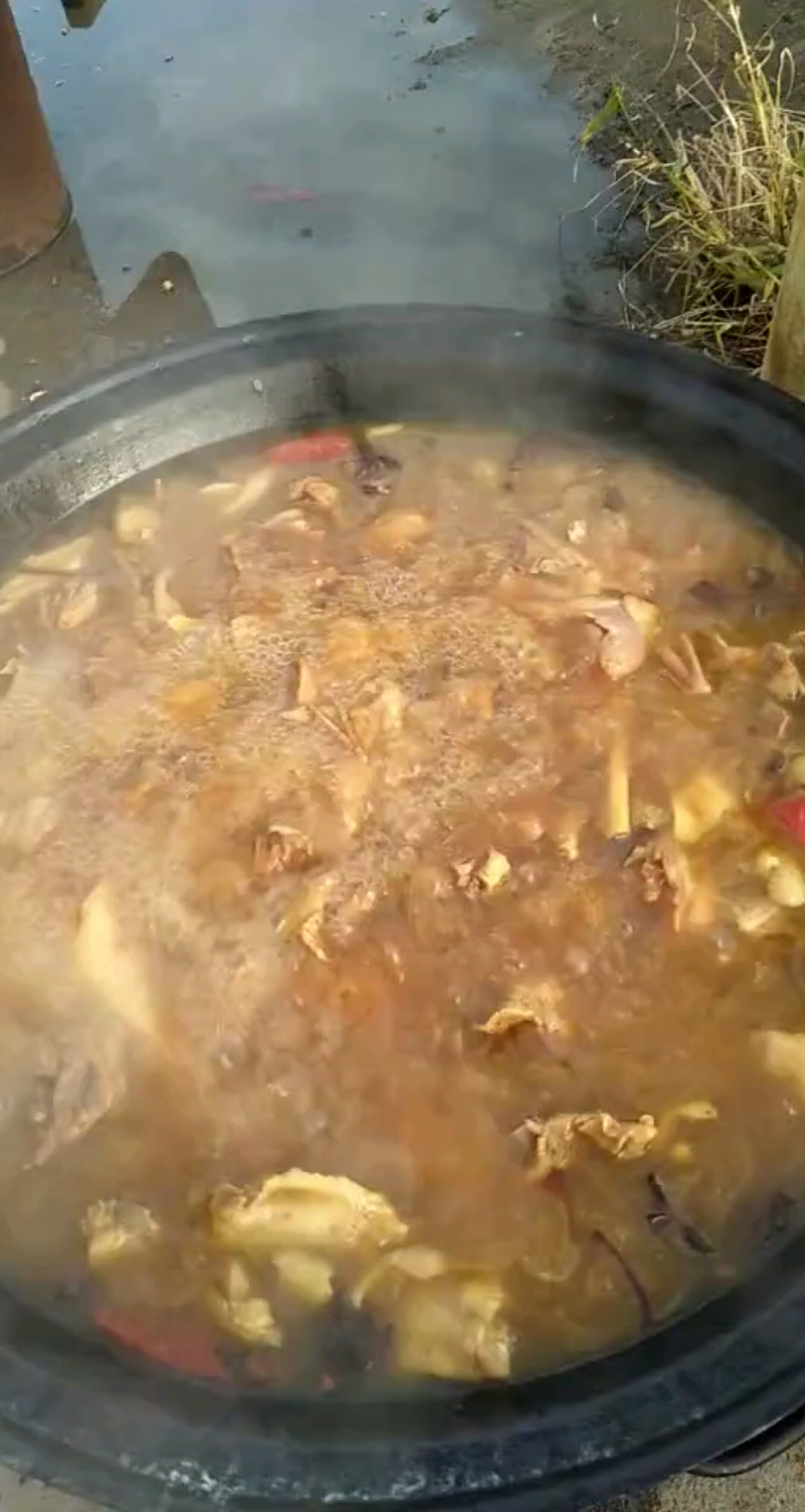 朋友做的铁锅炖