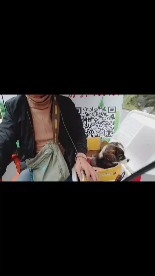 小江……小沙漠刚睡醒……