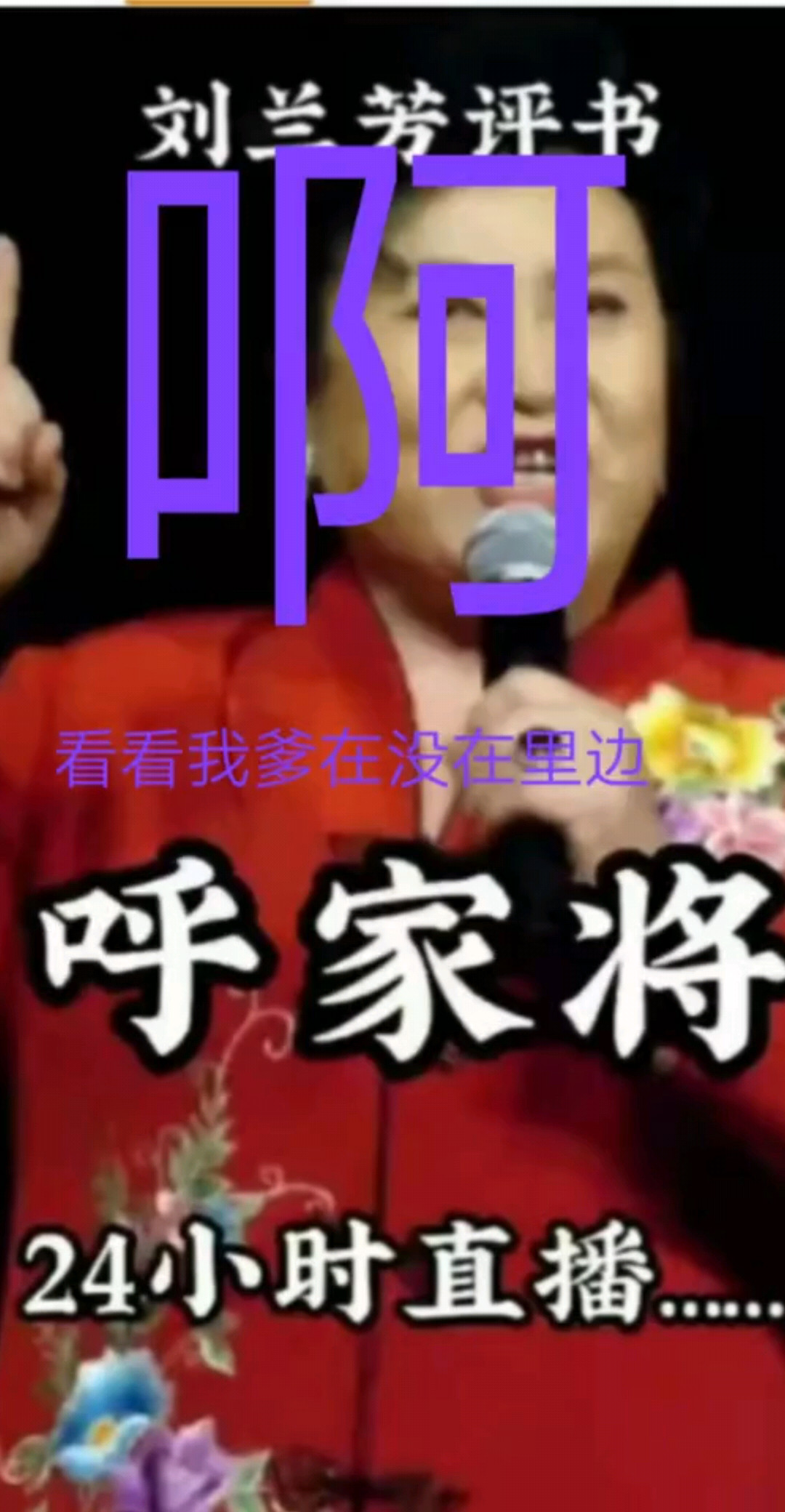 呼家将，每天直播