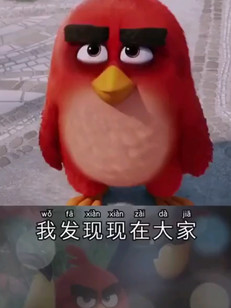 搞笑的小鳥(niǎo)