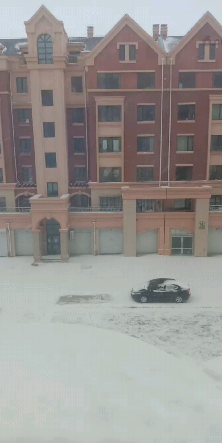 哈尔滨的第一场雪！