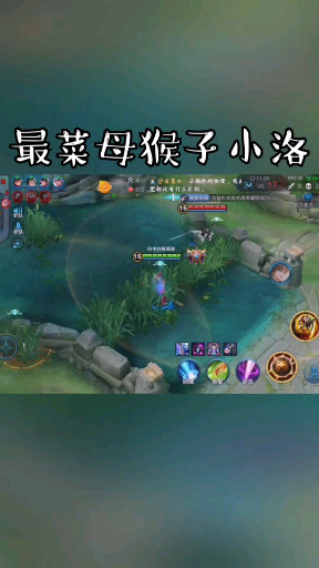 暴力母猴子不解释