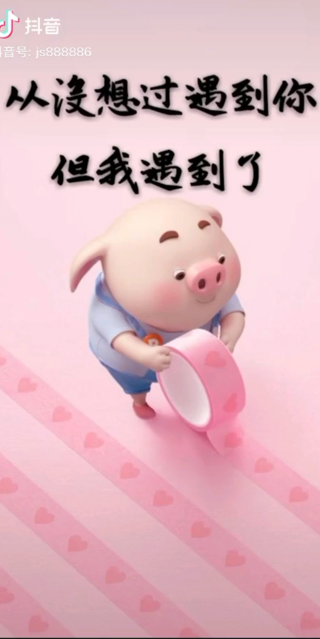从来没有后悔过……