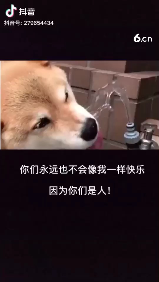 它会笑耶