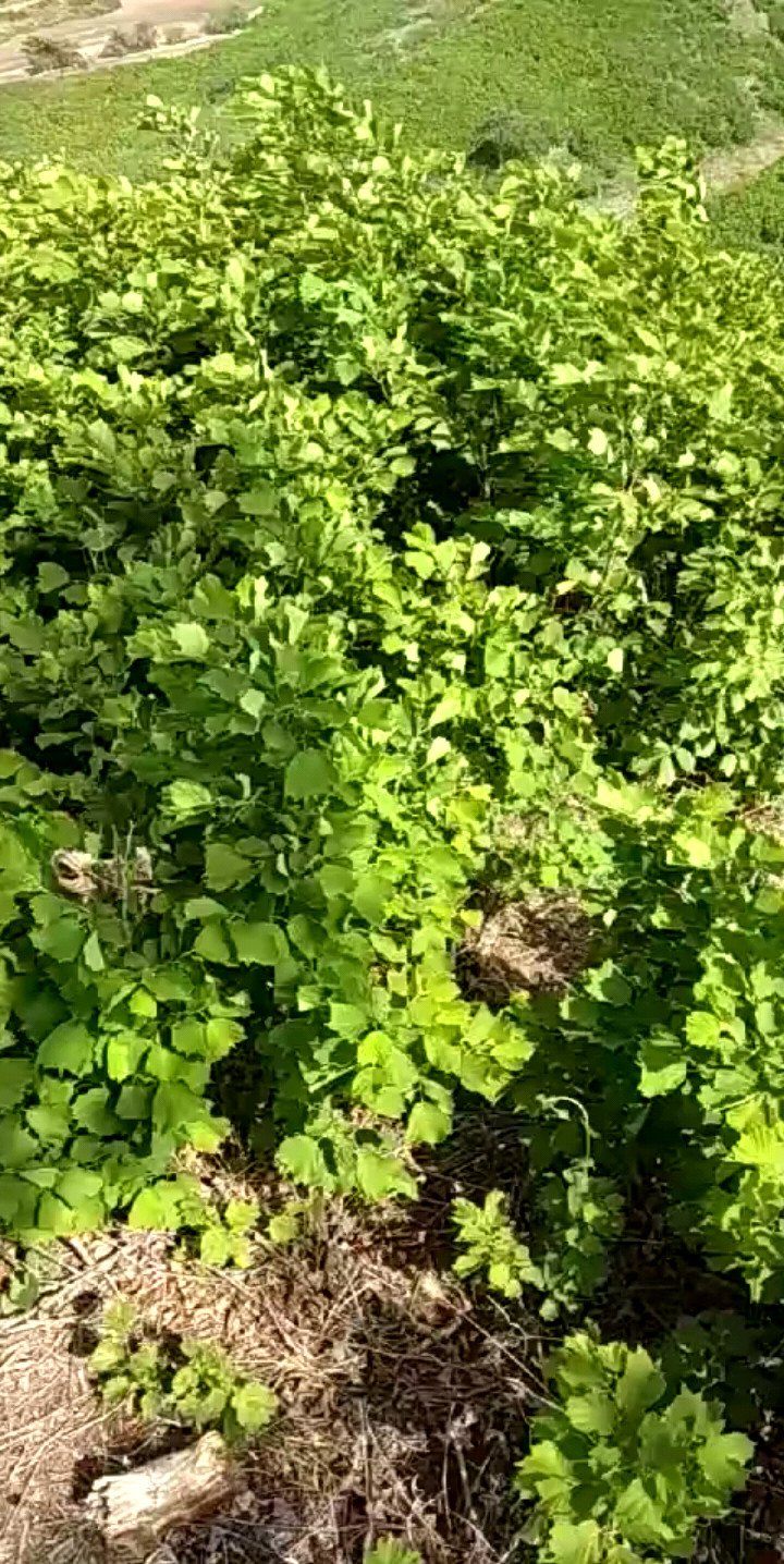 美不美