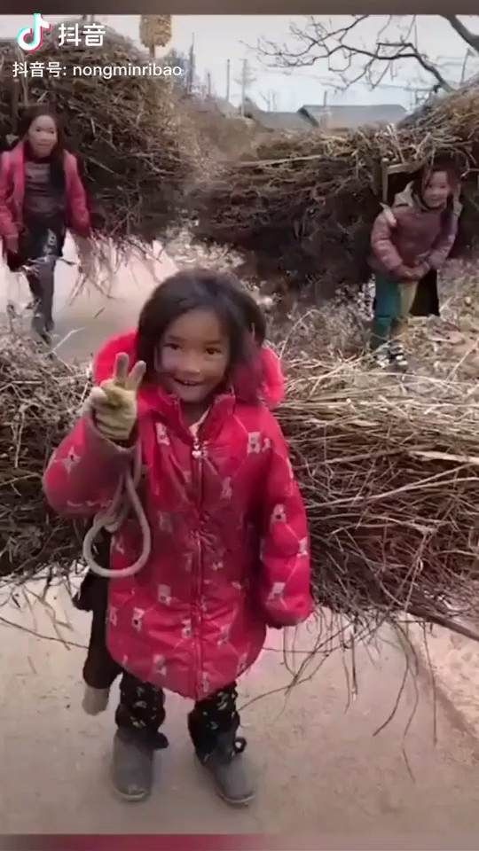 这个节日，他们能收到点啥？